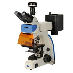 Mikroskop Fluoresensi Trinokuler Digital LF-302