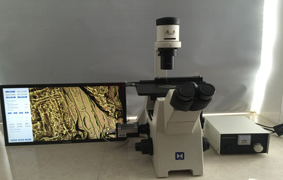 Mikroskop Biologi Terbalik Trinokuler Untuk Penelitian Kultur Sel
