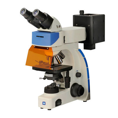 Mikroskop Fluoresensi Tegak Teropong LF-202
